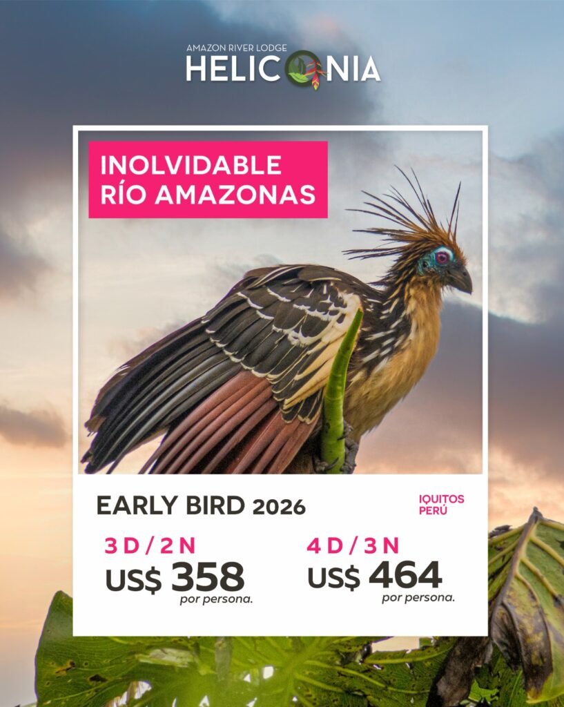 Aprovecha la promoción Early Bird de Heliconia Amazon River Lodge y obtén hasta 20% de descuento reservando con anticipación. Sumérgete en la magia del Amazonas con un programa todo incluido que combina aventura, naturaleza y cultura en un entorno único.