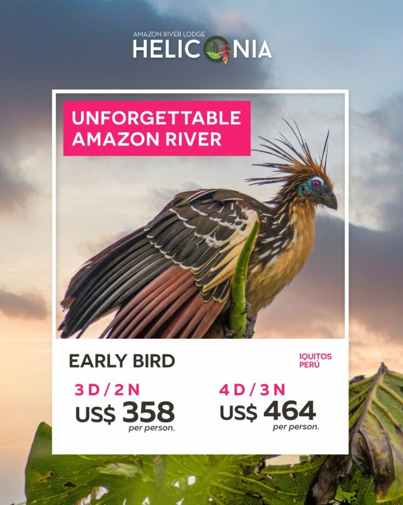 Take advantage of the Heliconia Amazon River Lodge Early Bird promotion and enjoy up to 20% off when you book in advance. Discover the magic of the Amazon with an all-inclusive program that blends adventure, nature, and culture in a truly unique setting.