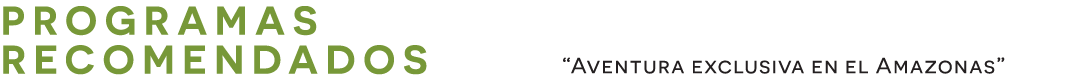 banner124