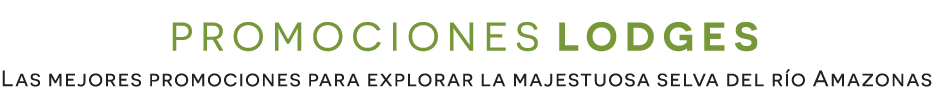 banner125