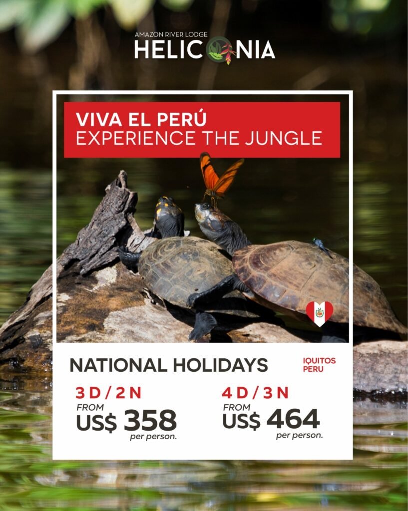 Celebrate Peru’s Independence Day with exclusive Amazon programs at Heliconia Amazon River Lodge. Enjoy all-inclusive experiences combining nature, Amazonian culture, and unforgettable adventures in the heart of the Peruvian rainforest.
Explore the Amazon with guided excursions, wildlife encounters, regional gastronomy, and special holiday activities designed for these festive dates. Experience a unique jungle getaway surrounded by extraordinary biodiversity and breathtaking landscapes.
⏳ Book now and secure your Amazon adventure for Peru’s Independence Day.